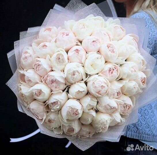 Пионы Букет пионов