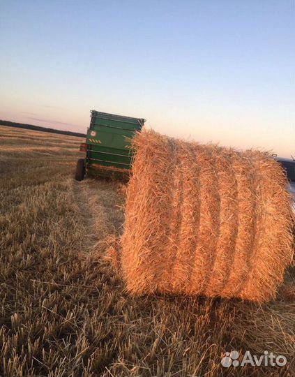 Солома в рулонах