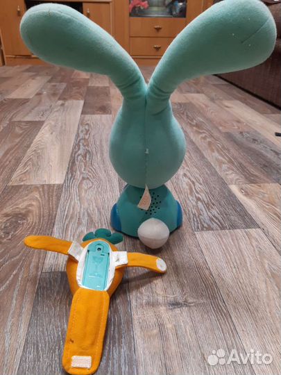 Кролик бани