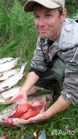 Рыбалка на Камчатке, крабовое сафари