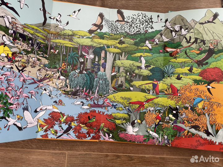 Книжки-раскладушки Виммельбух Найди и покажи