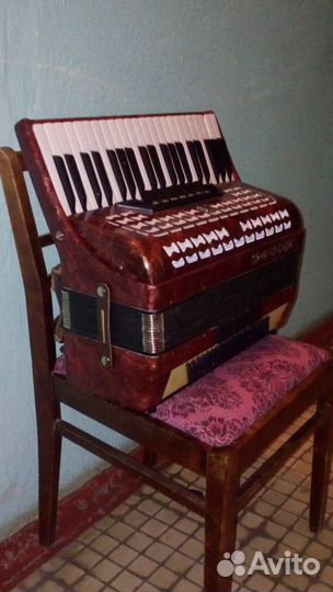 Аккордеон борей