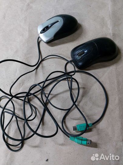 Мышь
