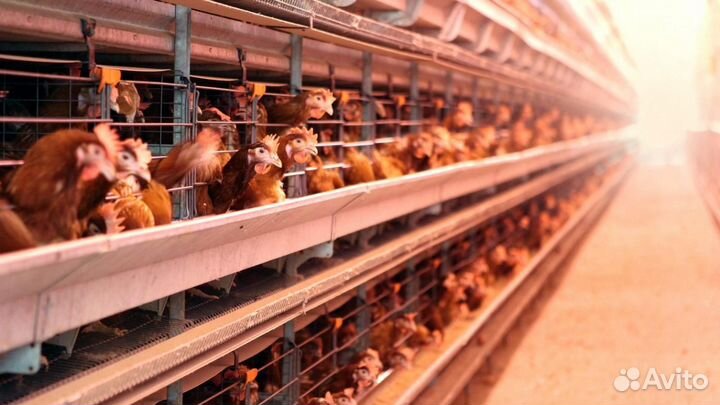 Подсобный рабочий