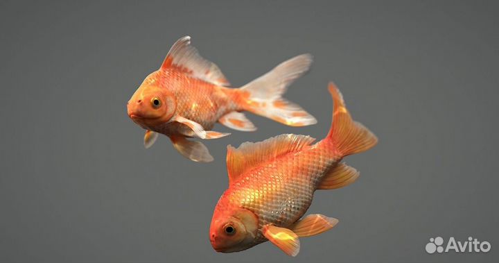 3D анимация, CGI, VFX видео