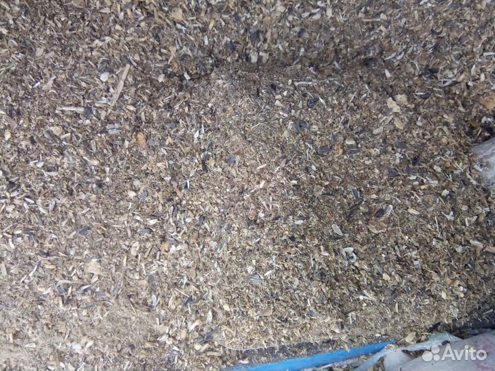 Отход семечки