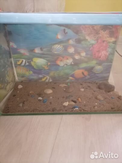 Аквариум и лампа