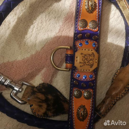 Ошейник для собак