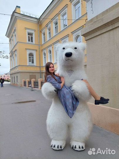 Поздравление от белого мишки, панды в Саратове