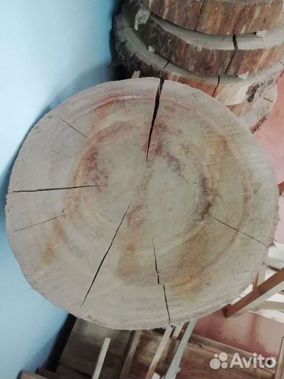 Спилы торцевые дуб