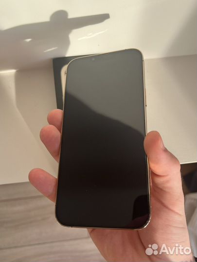iPhone 13 Pro Max, 256 ГБ