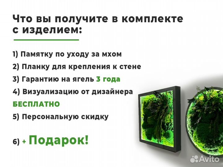 Панно круг из стабилизированного мха для комнаты