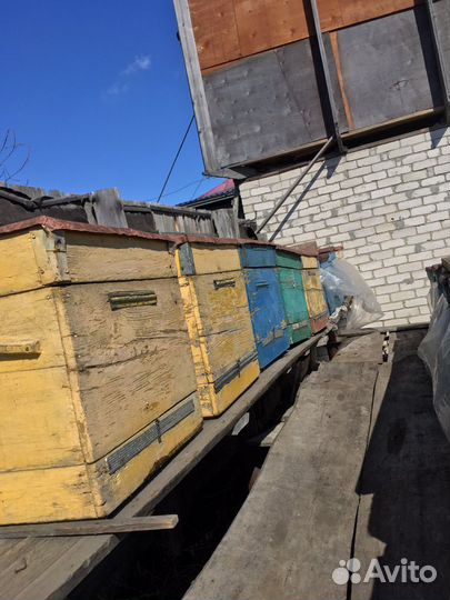 Улья, Рамки, «Дадан»