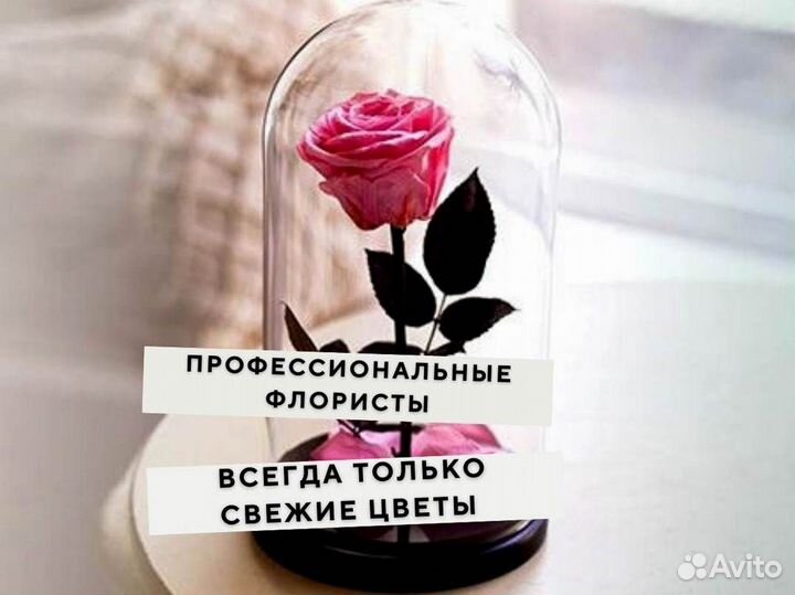 Роза в колбе. Живая