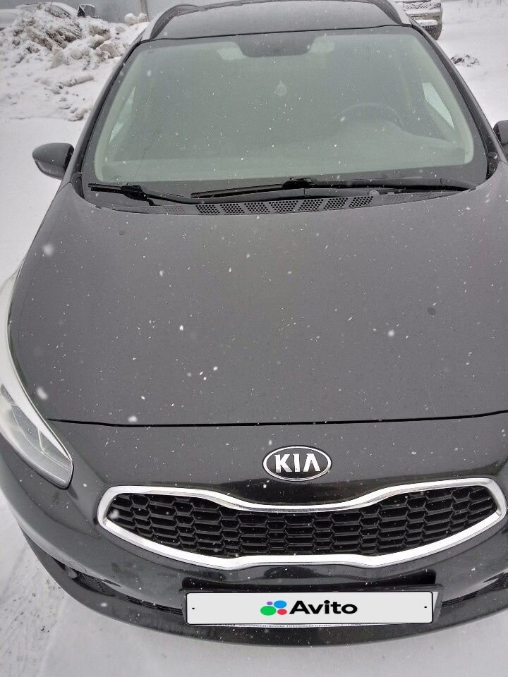 Kia Ceed: фото владельца