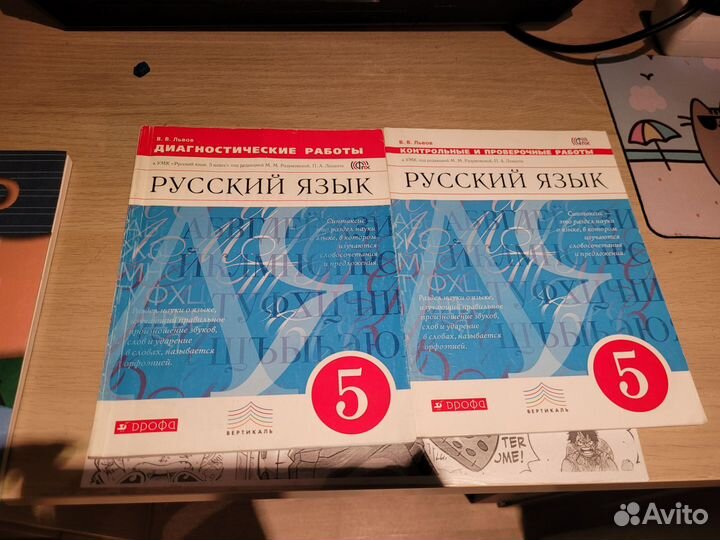 Уче.ники по русскому языку 5 класс