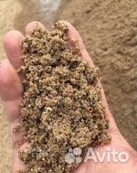 При родный песок тараканом