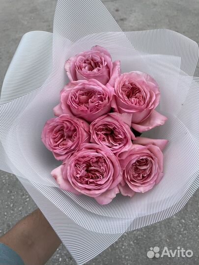 Букет пионовидных роз Эквадор / пионы розы