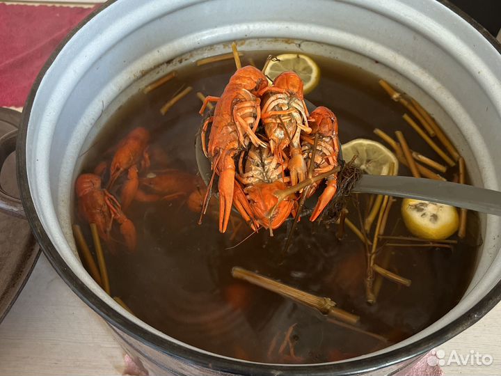 Раки варенные