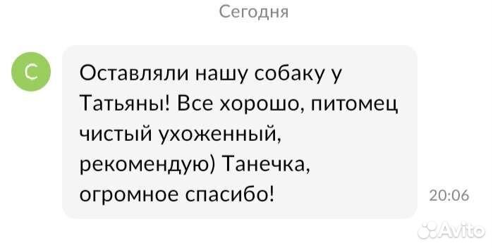 Возьму собак на передержку