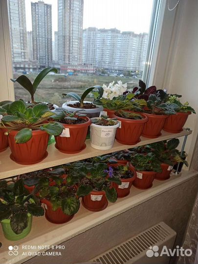 На заказ Полка для цветов и рассады