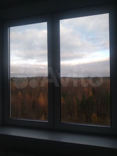 2-к. квартира, 52 м², 7/9 эт.