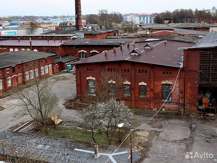 Калининград Топ-Экскурсия Розенау: история южного