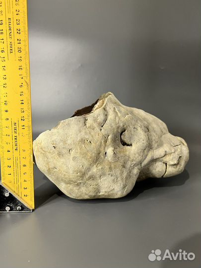 Конкреция кальцитовая