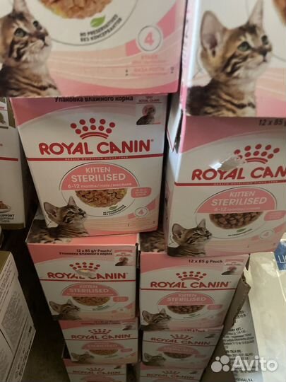 Корм для кошек Royal Canin Maine Coon Kitten