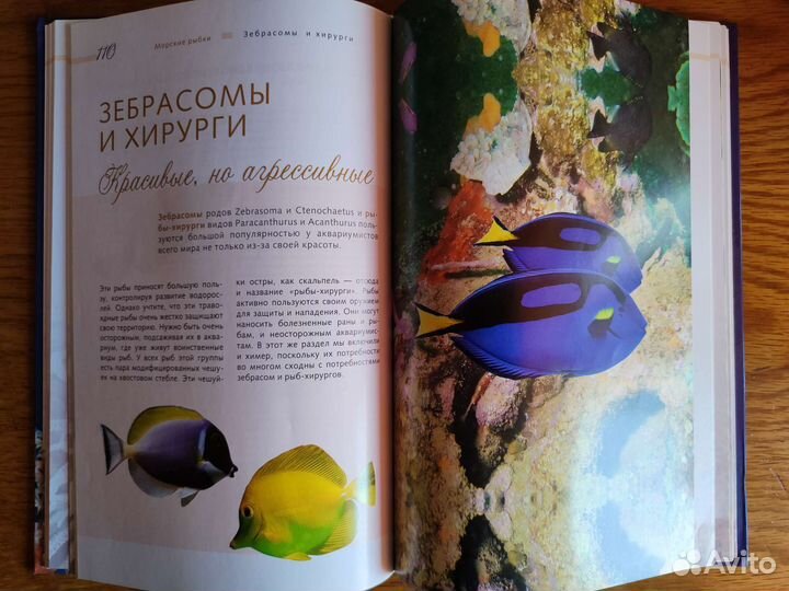 Морской аквариум Тристан Логер