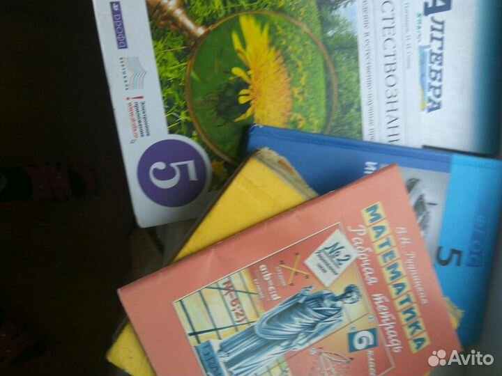 Школьные учебники и пособия