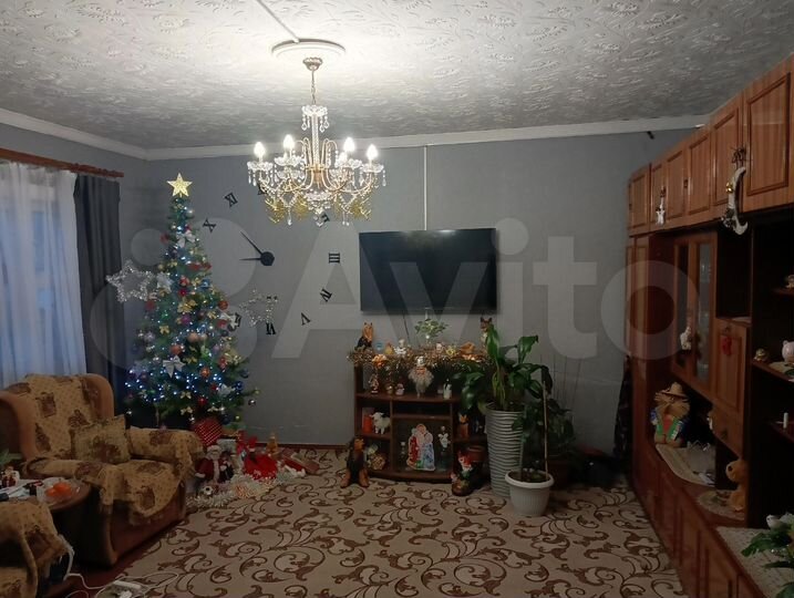 Дом 53 м² на участке 50 сот.