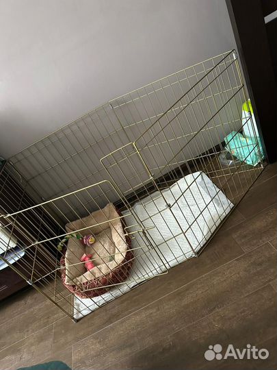 Вольер для щенков
