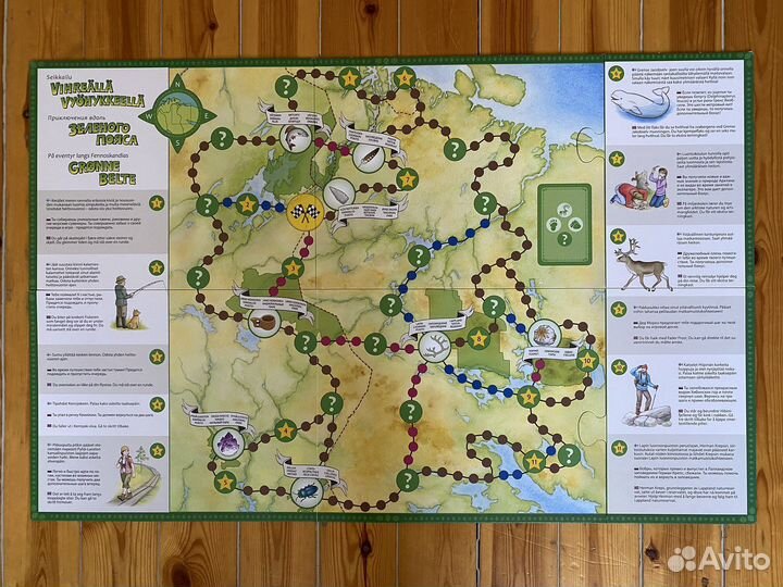 Настольная игра «Приключения вдоль Зелёного пояса»