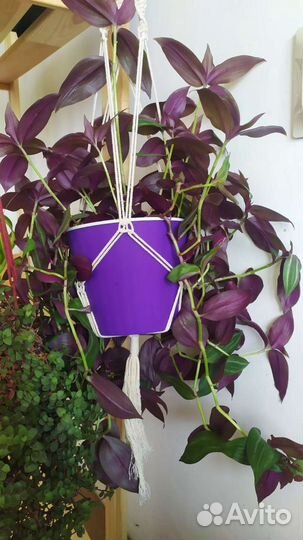 Кашпо для цветов подвесное