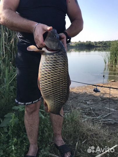 Отдых от городской суеты Беседки мангалы