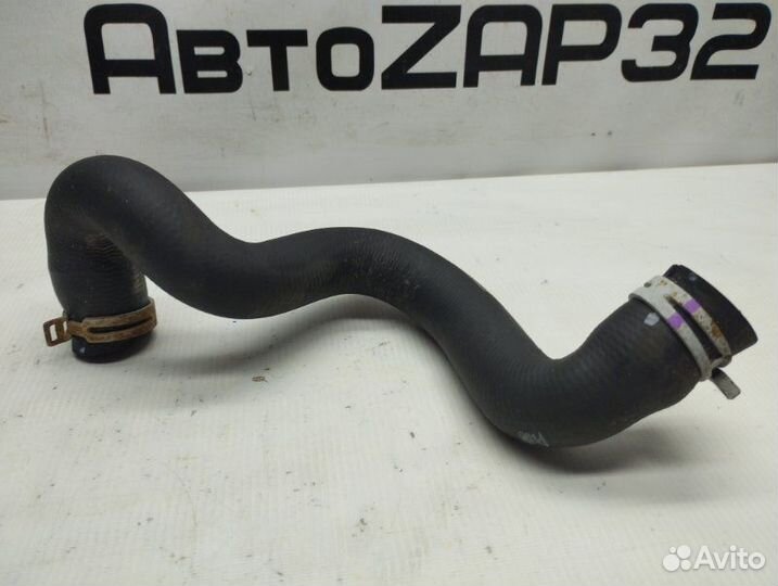 Патрубок радиатора нижний Ford Focus хэтчбек 2010