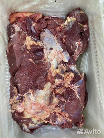 Мясо говядина односорт
