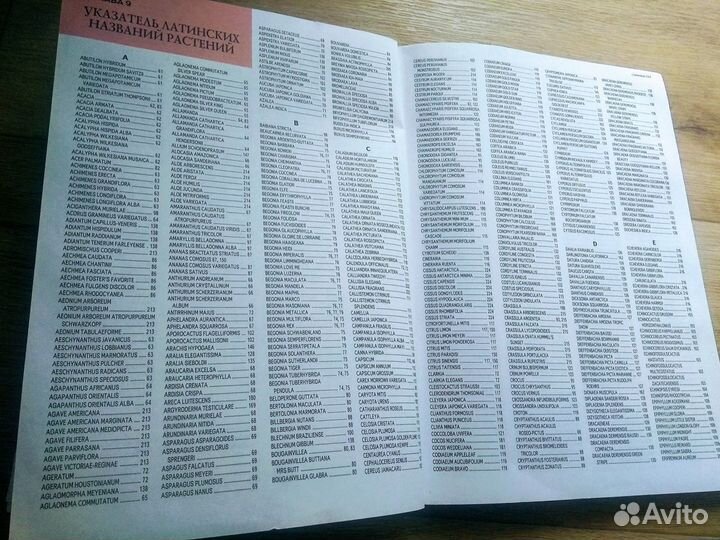 Книга - Всё о комнатных растениях