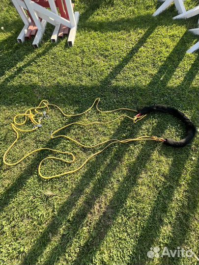 Шлея пессоа