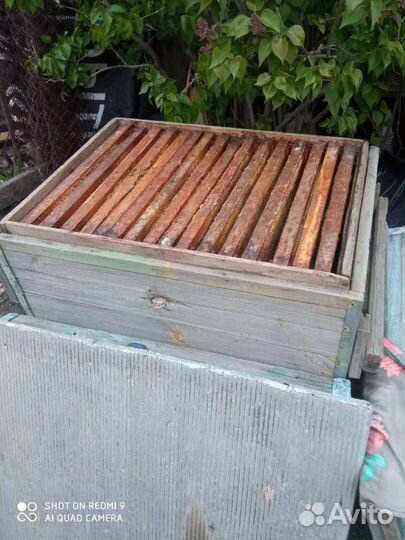 Улей для пчел бу