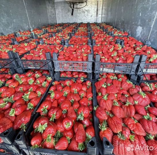 Грузоперевозки газель