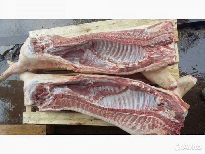 Домашняя свинина, мясо бройлера на 12.08