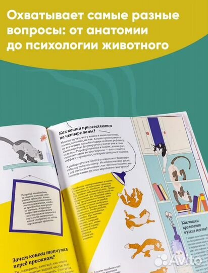 Книга новая Секреты Кошек