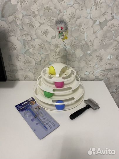 Товары для котенка