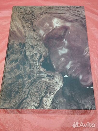 Книга Степан Эрьзя