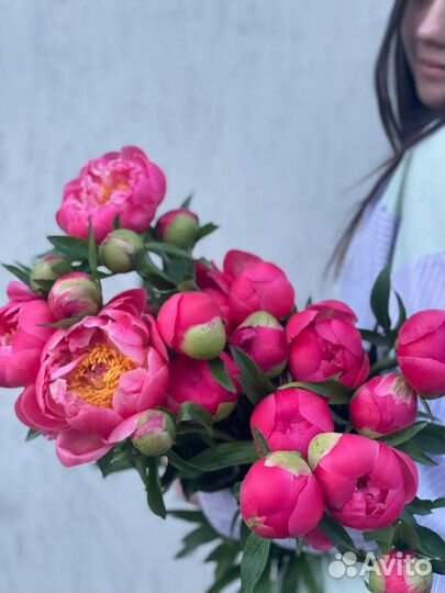 Пионы букет с доставкой