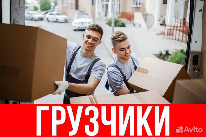 Грузчики разнорабочие