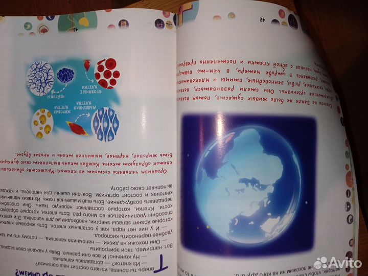 Детская книжка Как устроен человек