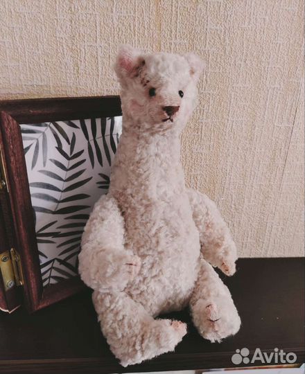 Медведь Тедди